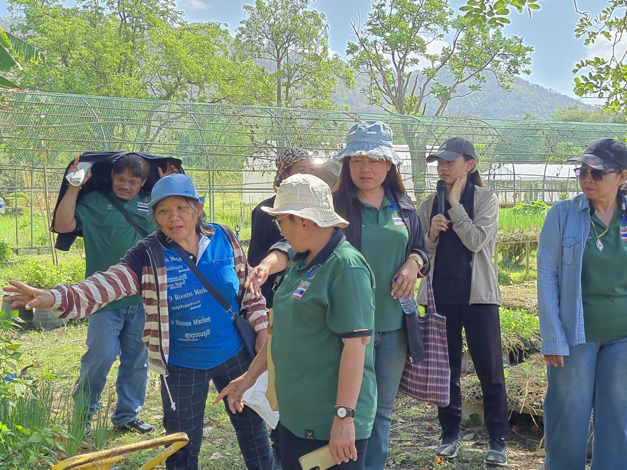 ภาพประกอบที่ 13