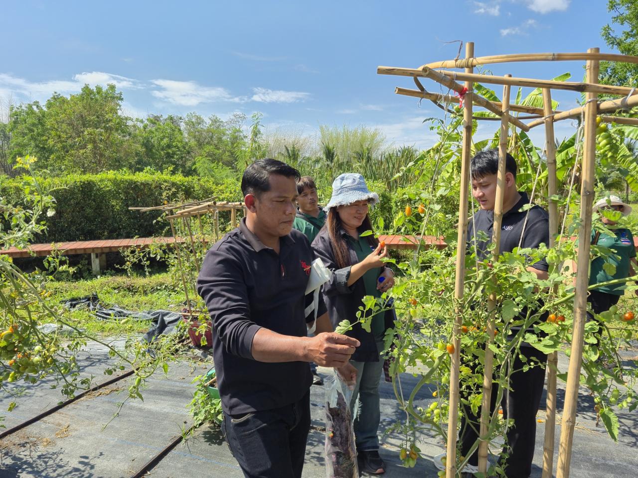 ภาพประกอบที่ 14