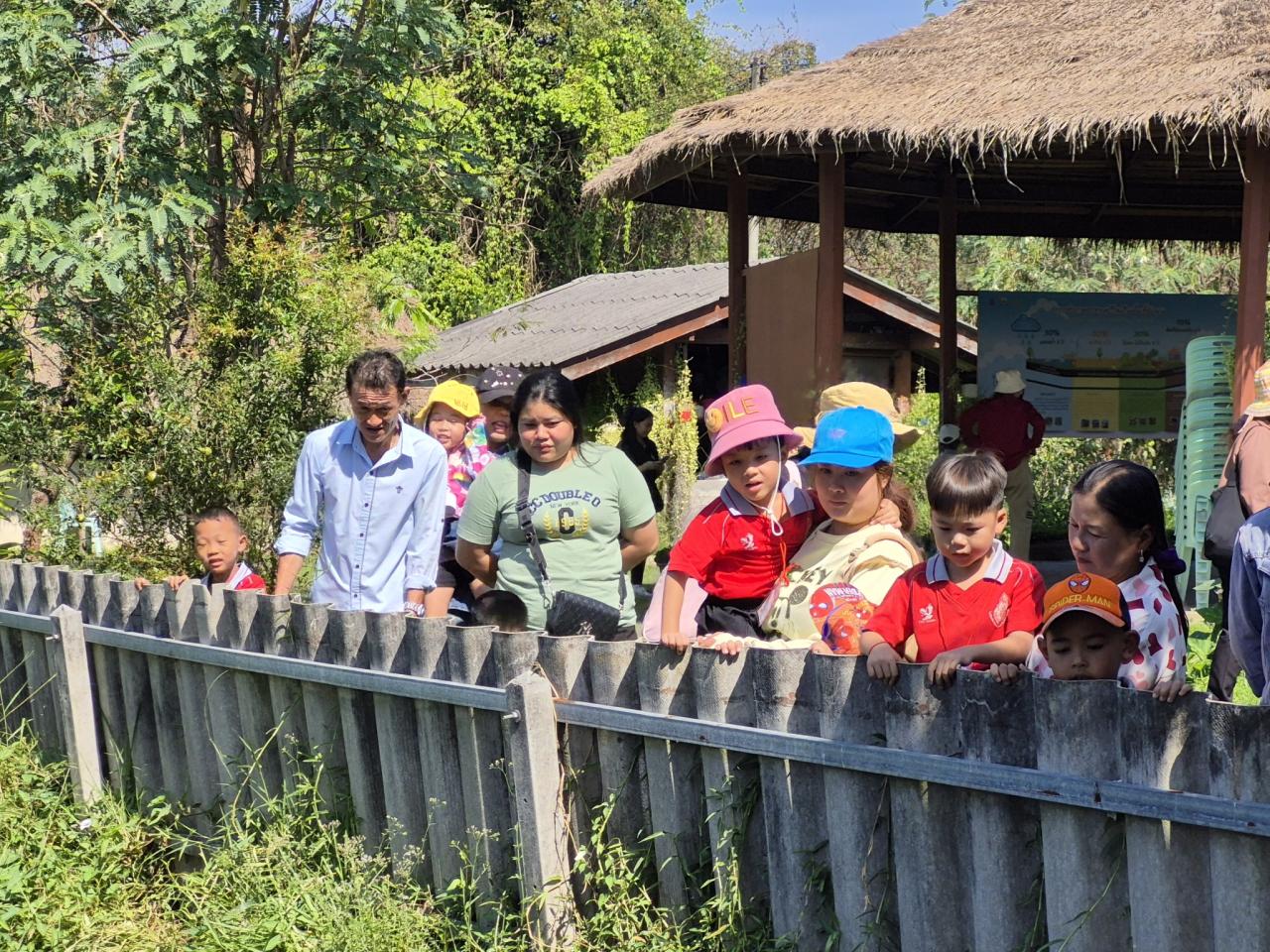 ภาพประกอบที่ 11