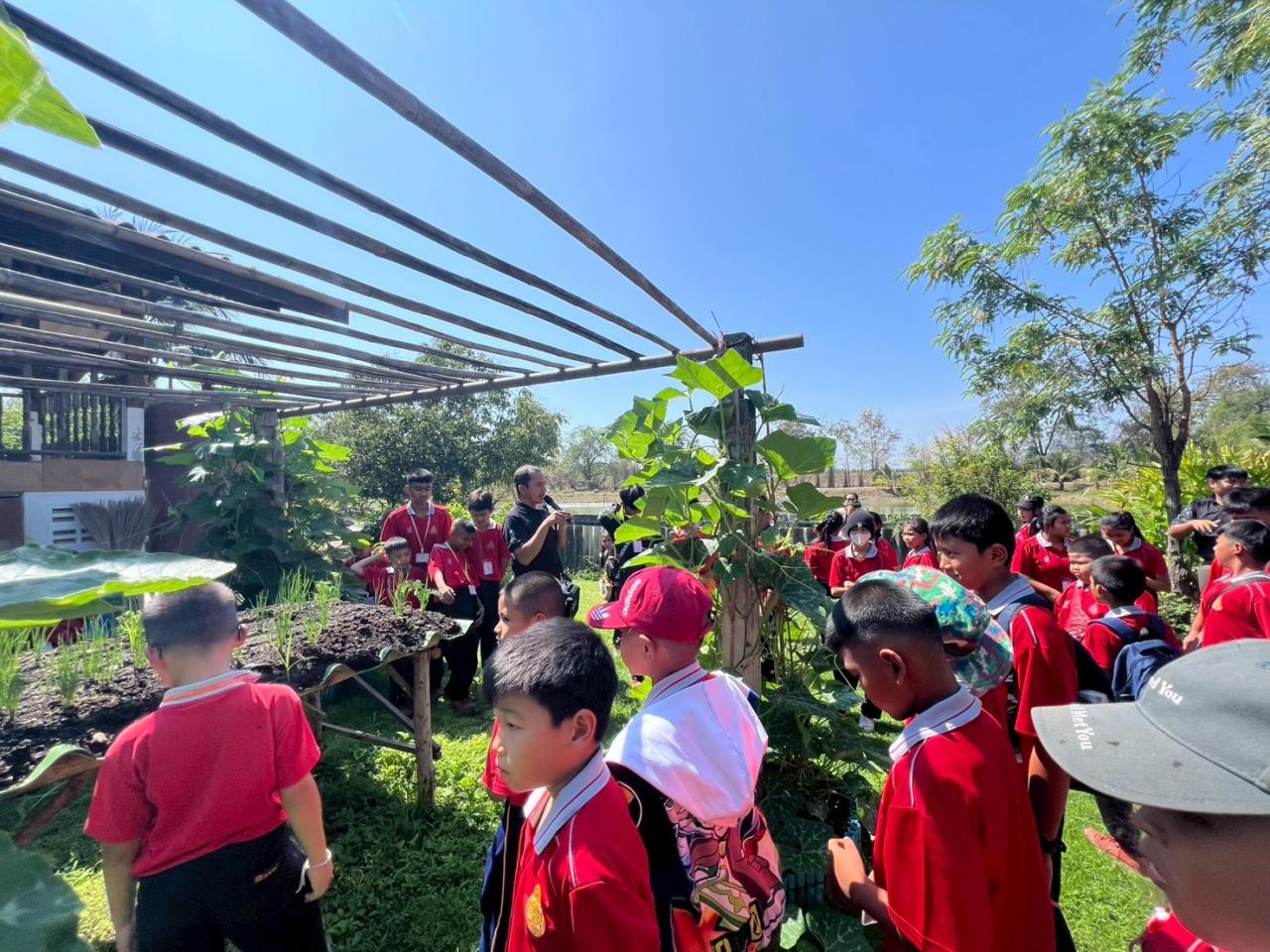 ภาพประกอบที่ 0