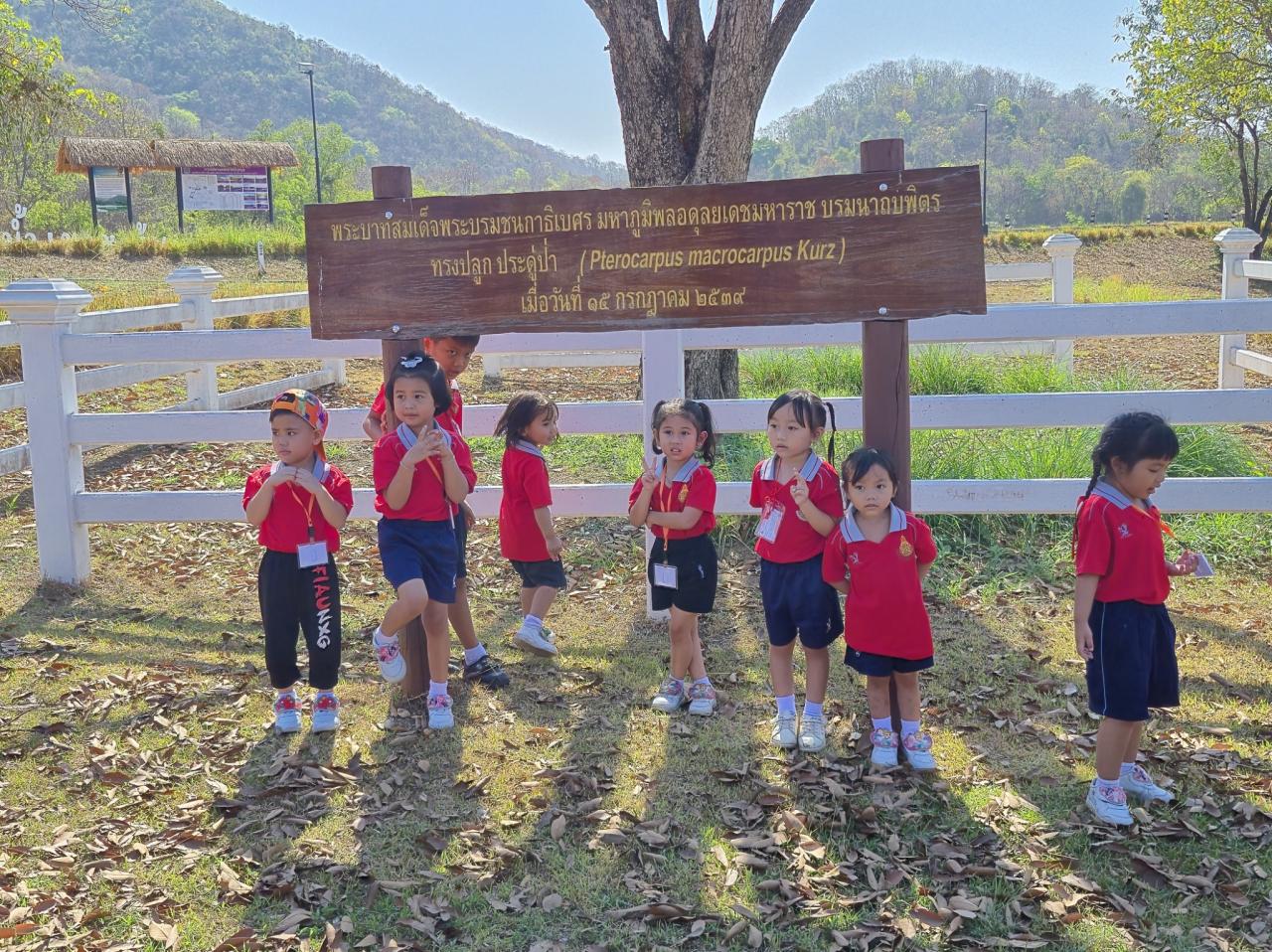 ภาพประกอบที่ 7