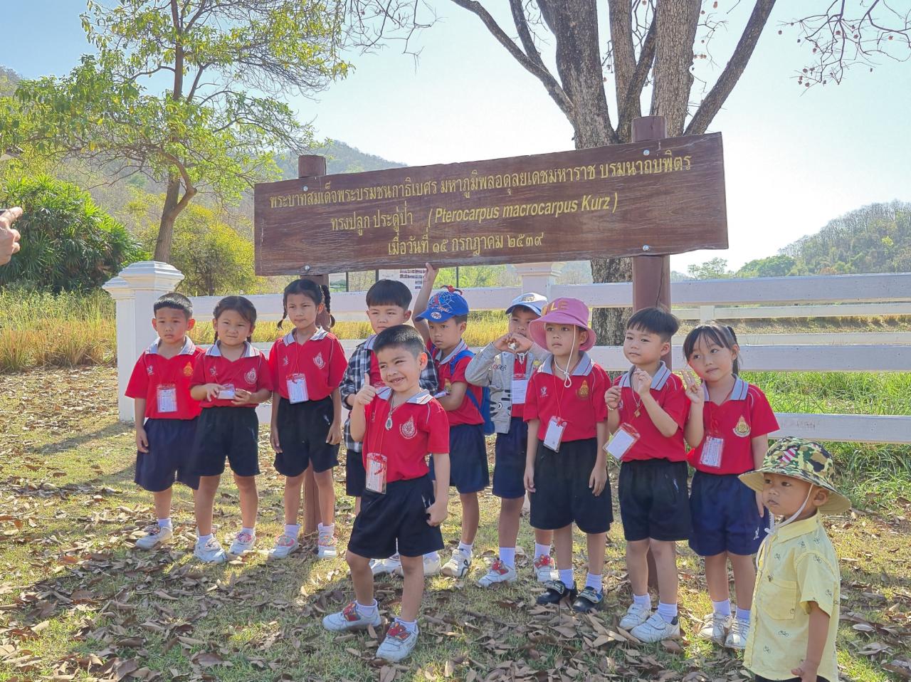 ภาพประกอบที่ 8