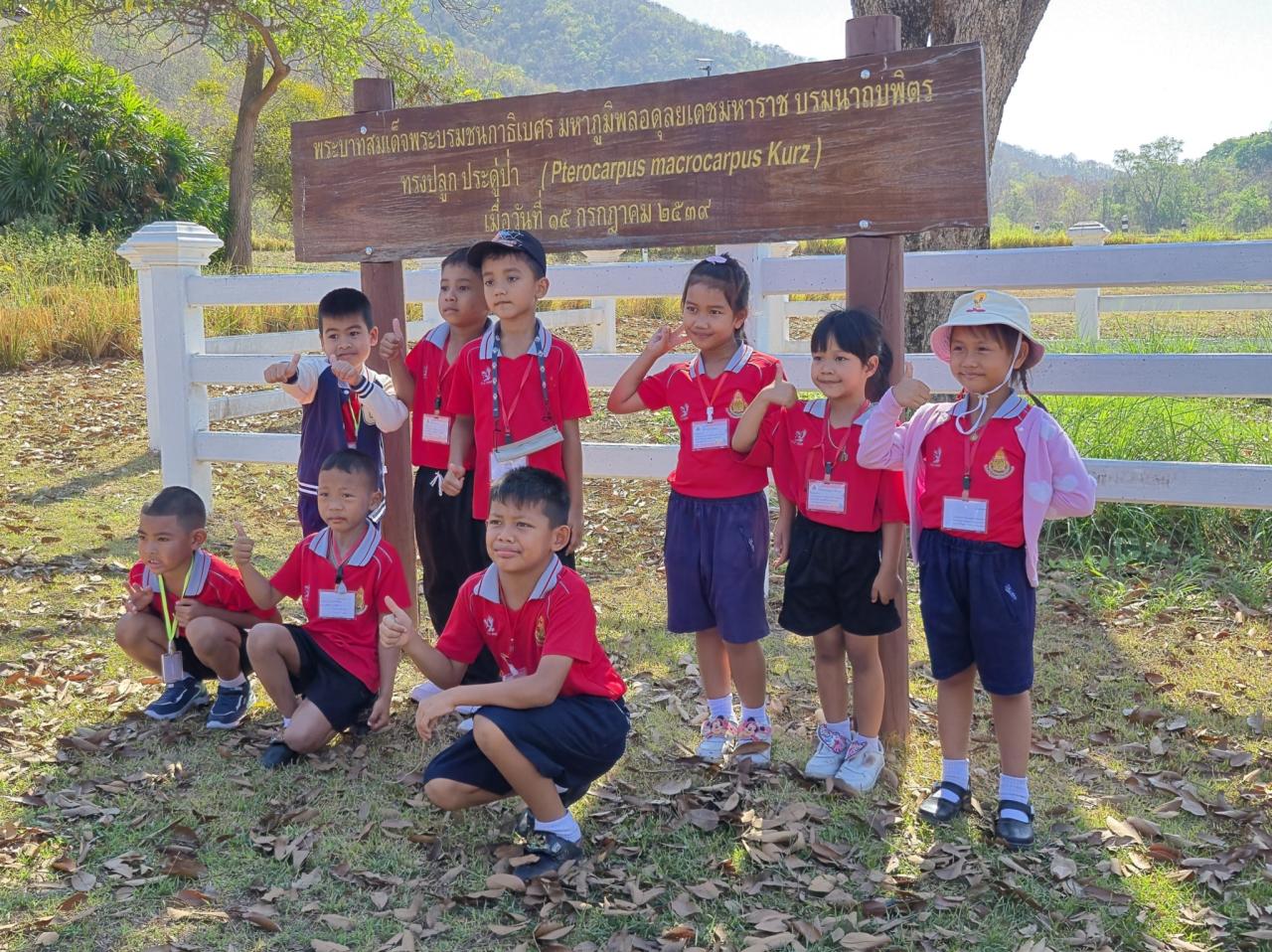 ภาพประกอบที่ 9