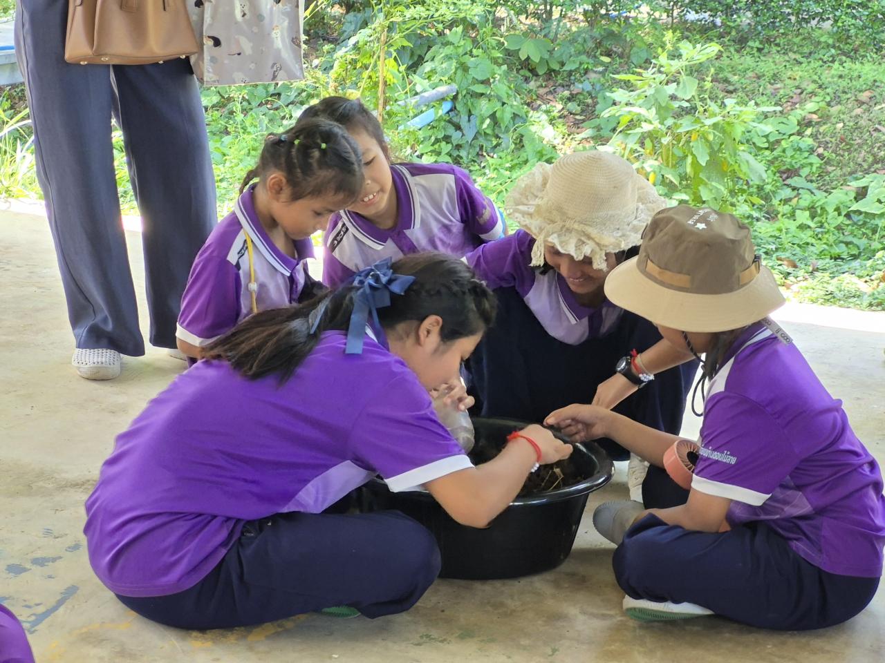 ภาพประกอบที่ 4