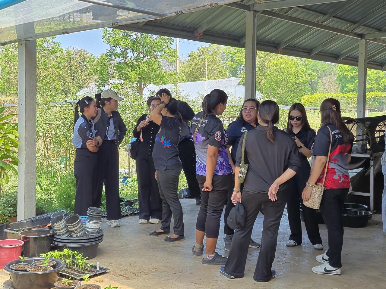 ภาพประกอบที่ 11