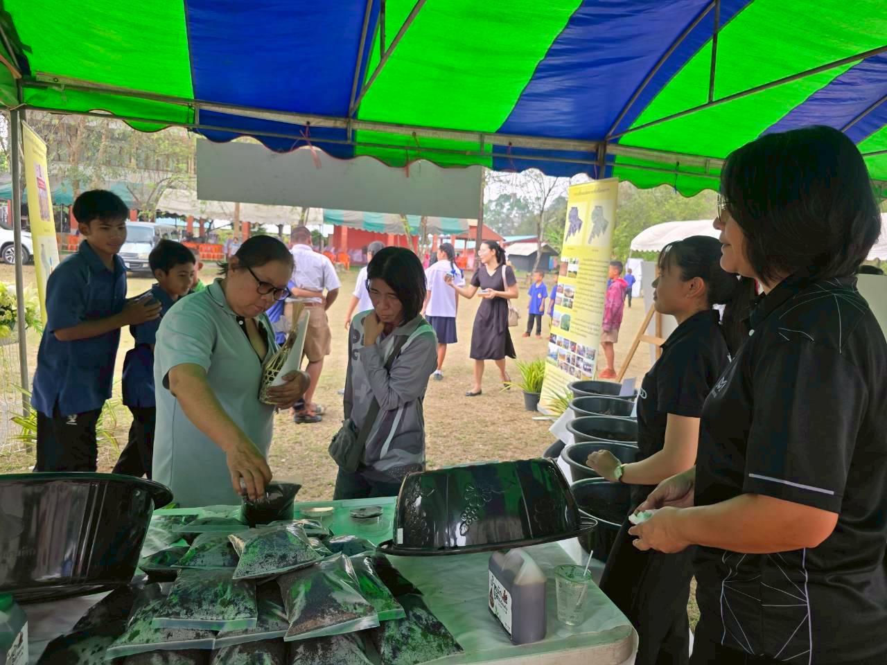 ภาพประกอบที่ 12