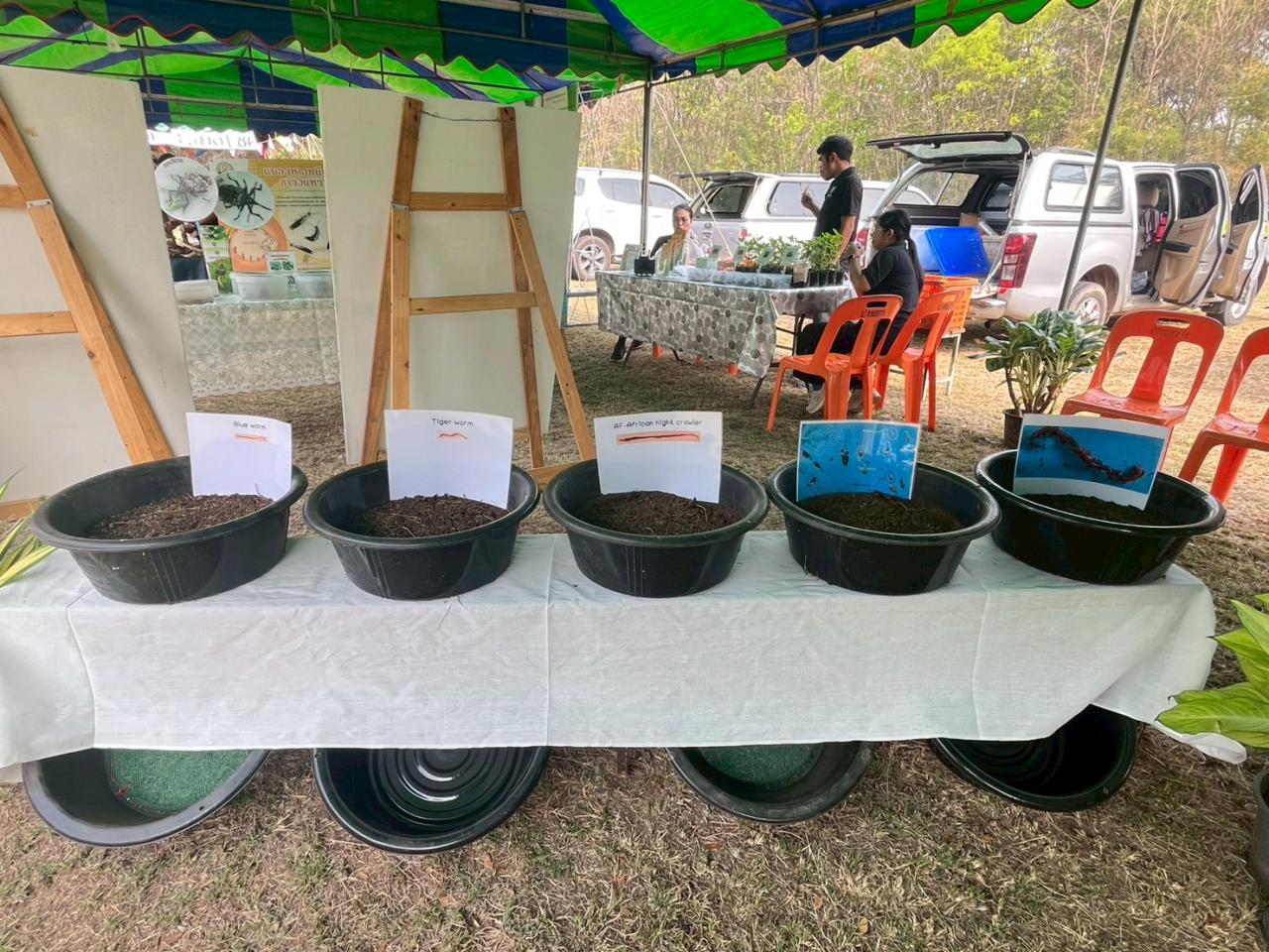 ภาพประกอบที่ 18