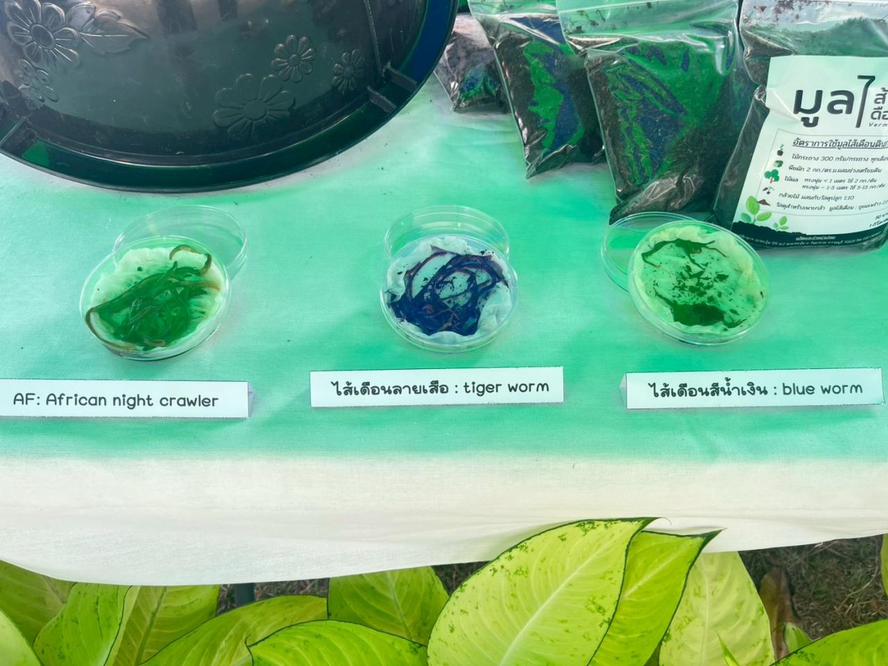 ภาพประกอบที่ 20