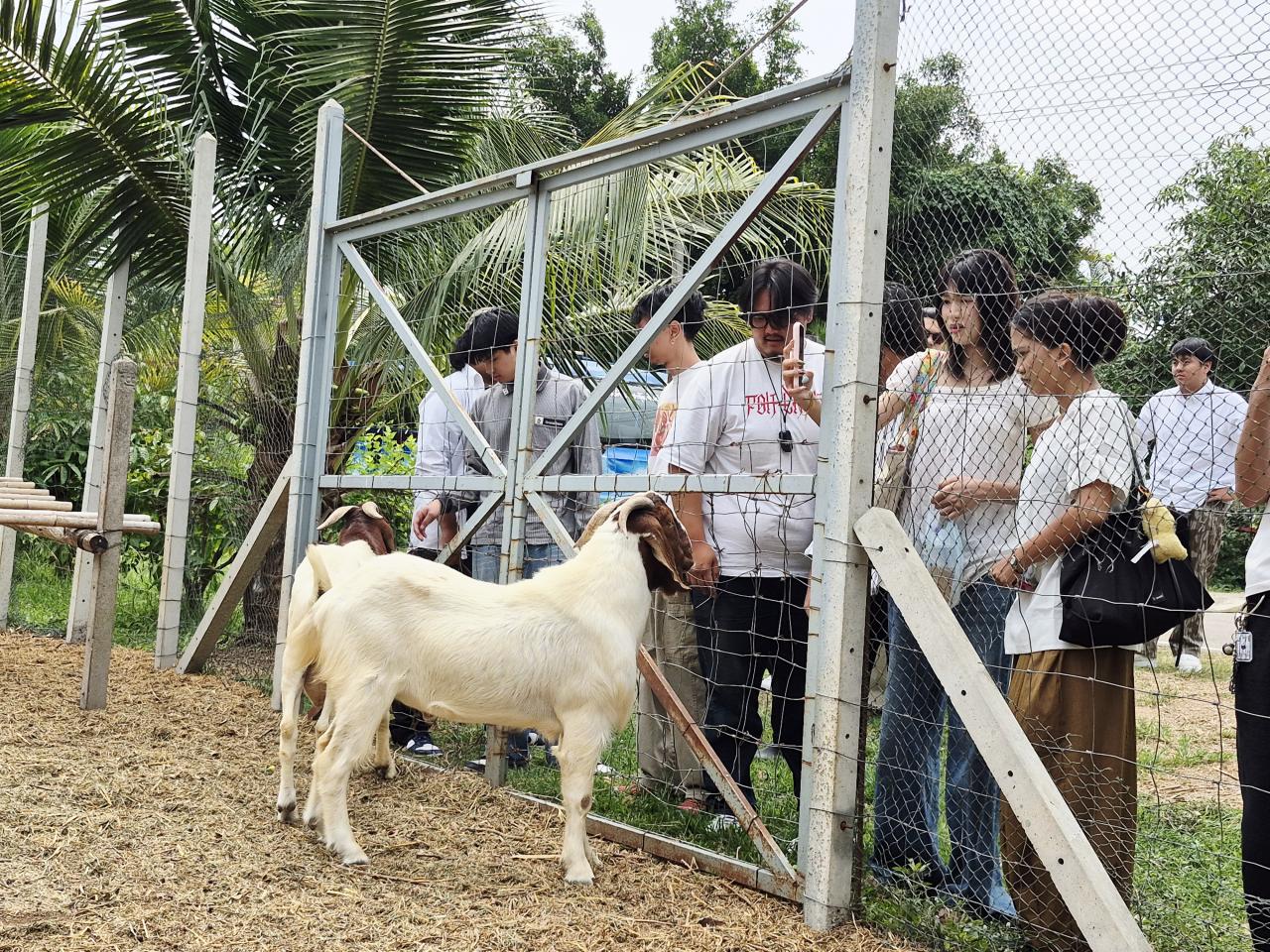 ภาพประกอบที่ 0