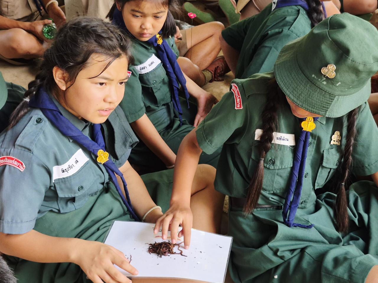 ภาพประกอบที่ 4