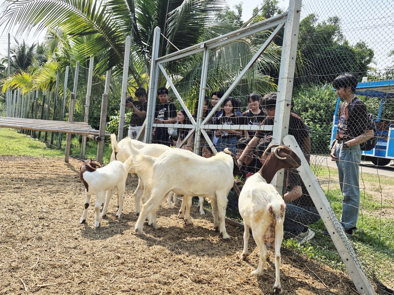 ภาพประกอบที่ 5