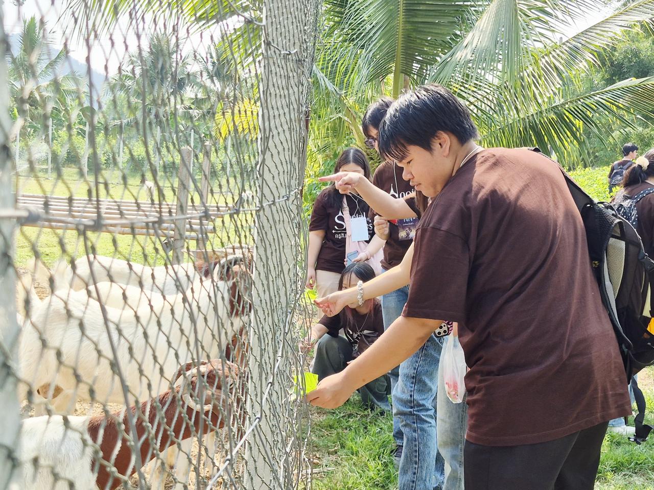 ภาพประกอบที่ 7