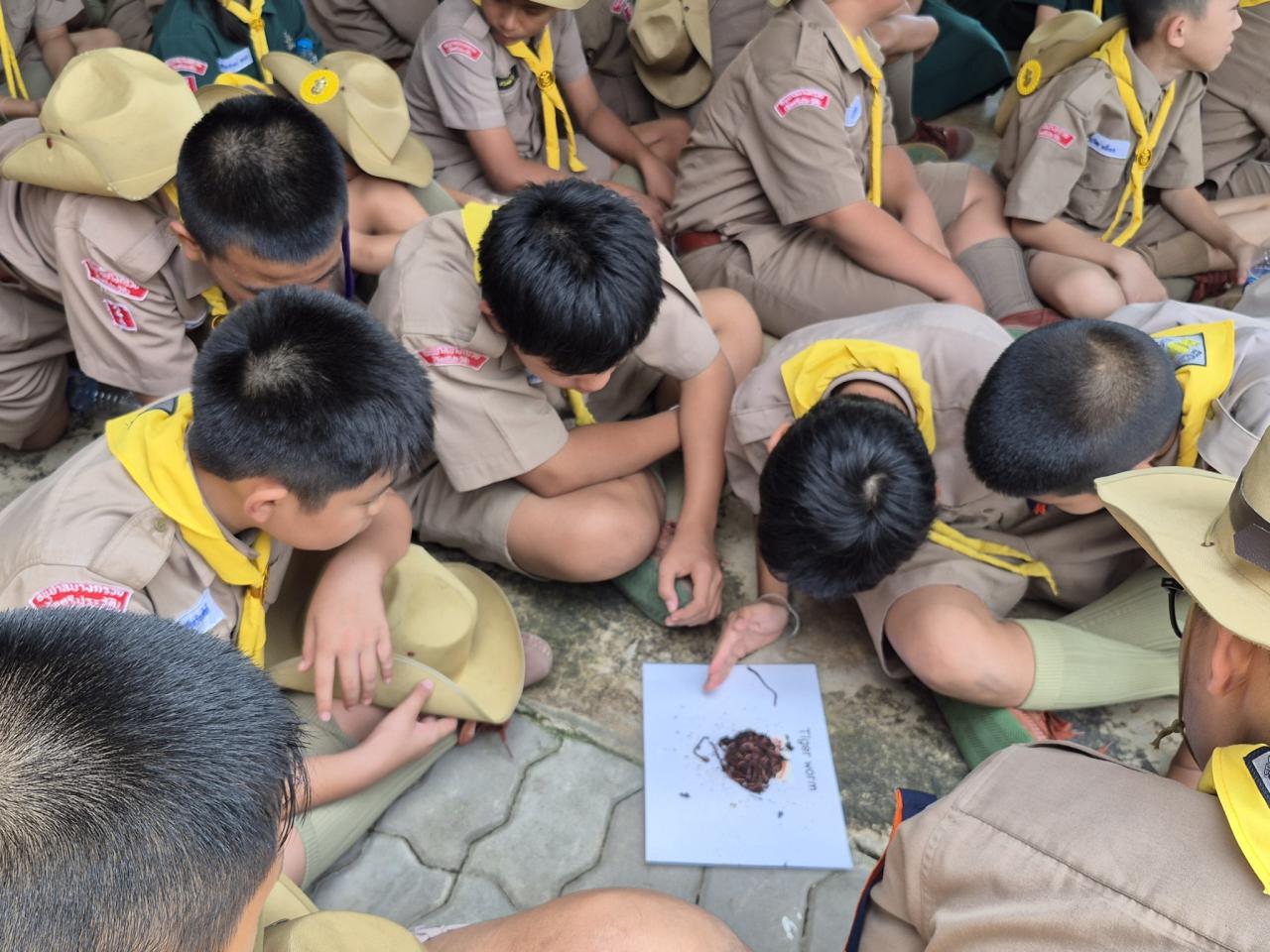 ภาพประกอบที่ 19