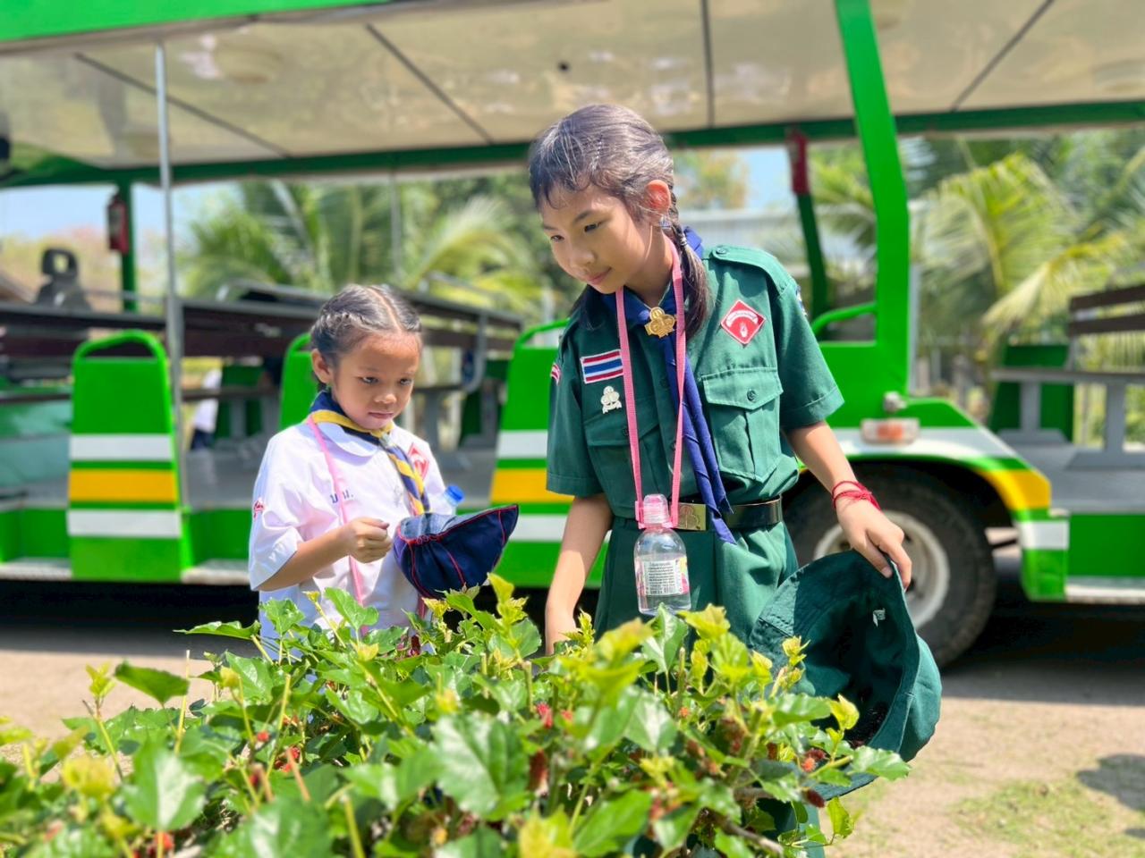 ภาพประกอบที่ 1