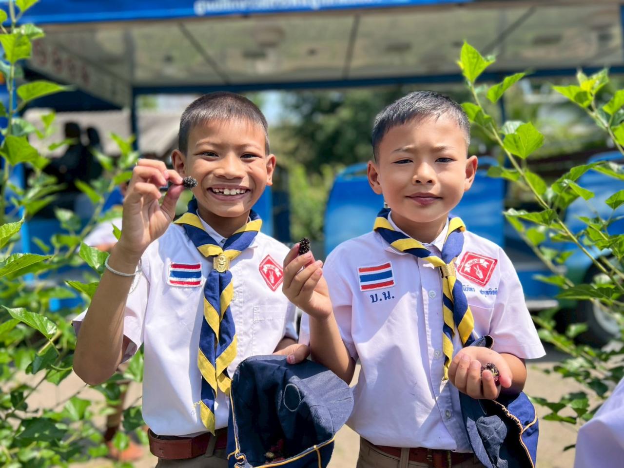 ภาพประกอบที่ 3