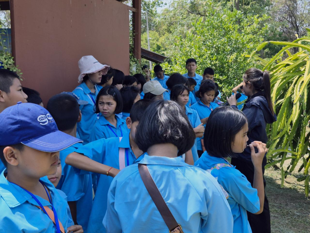 ภาพประกอบที่ 7