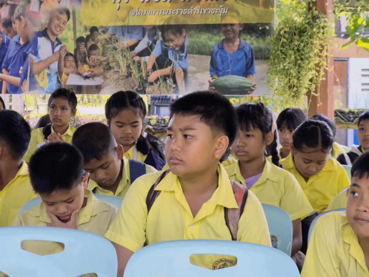 ภาพประกอบที่ 19