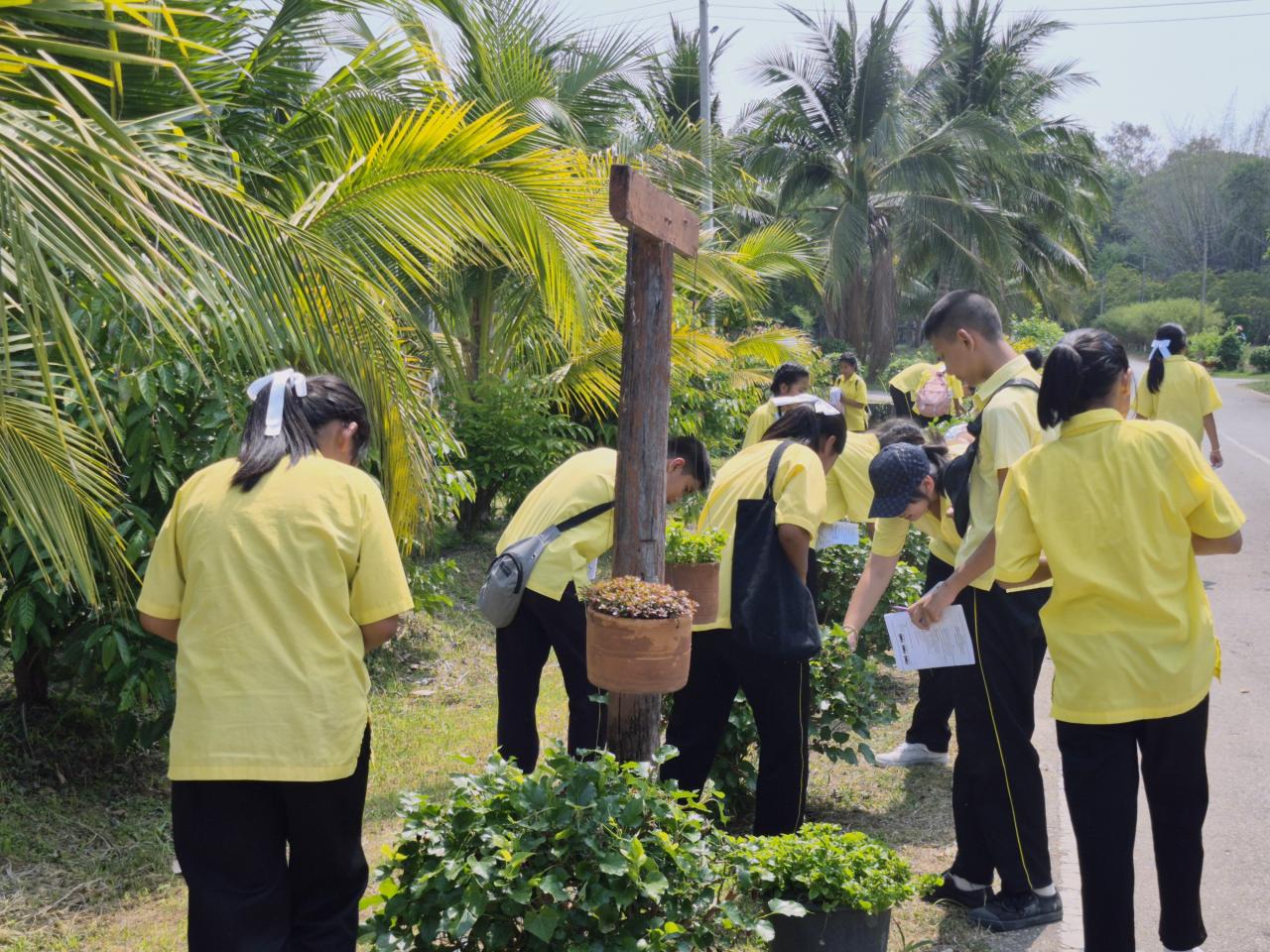 ภาพประกอบที่ 21