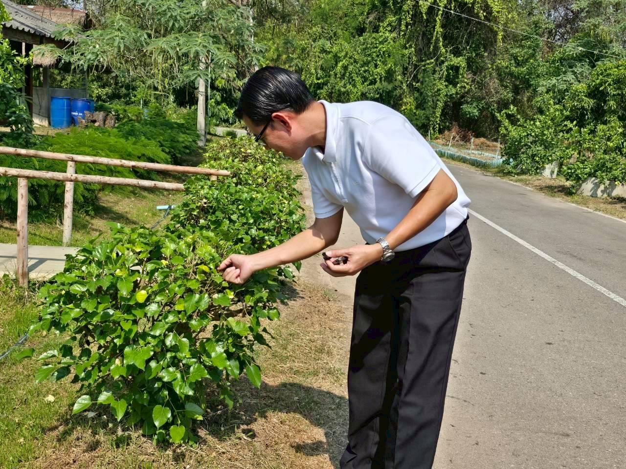 ภาพประกอบที่ 1