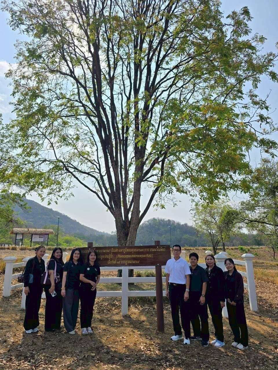 ภาพประกอบที่ 2