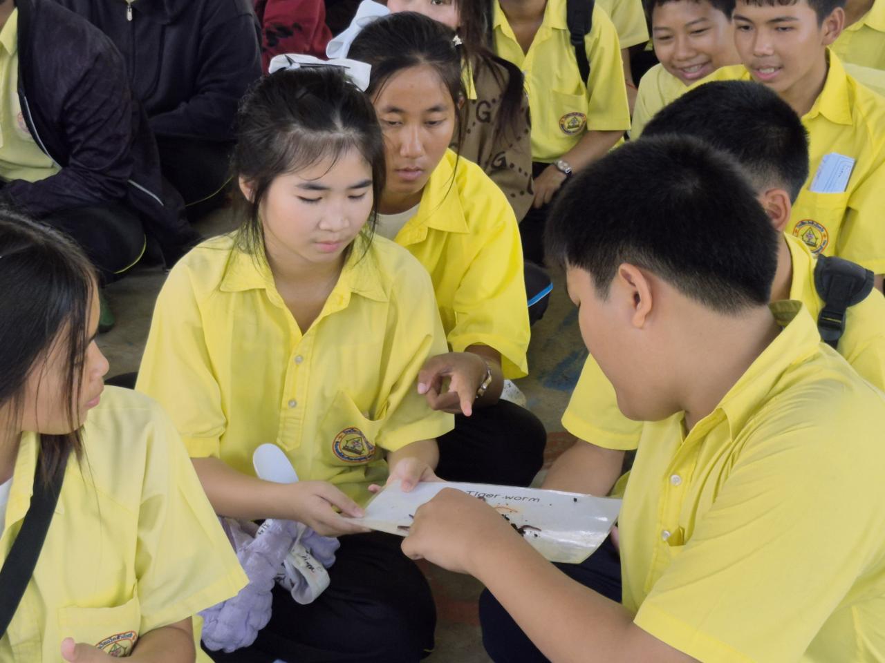 ภาพประกอบที่ 8