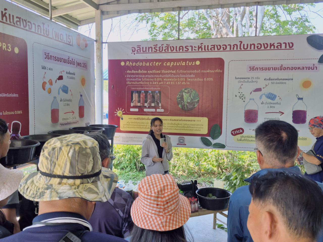 ภาพประกอบที่ 6