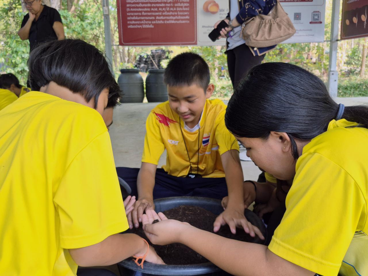 ภาพประกอบที่ 3