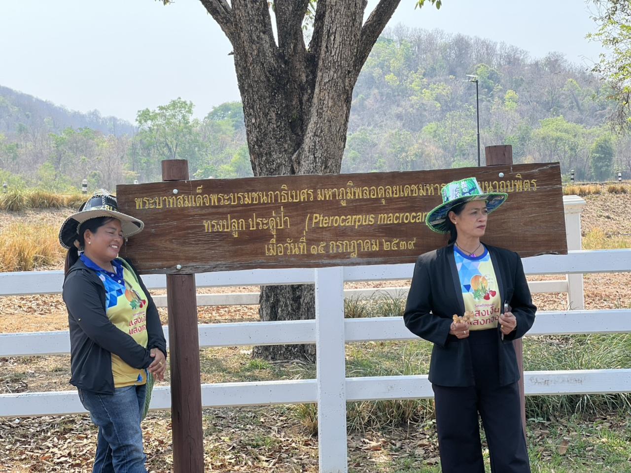 ภาพประกอบที่ 2