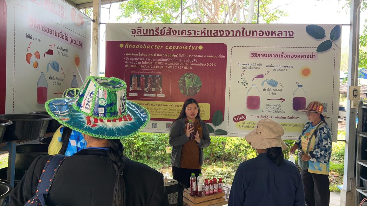 ภาพประกอบที่ 4