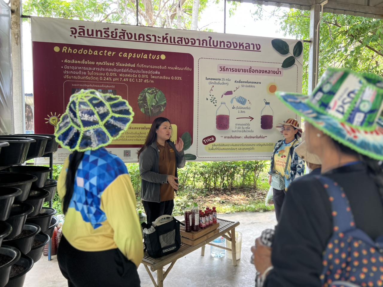 ภาพประกอบที่ 6