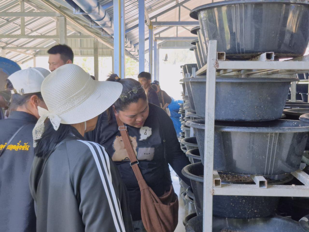 ภาพประกอบที่ 5