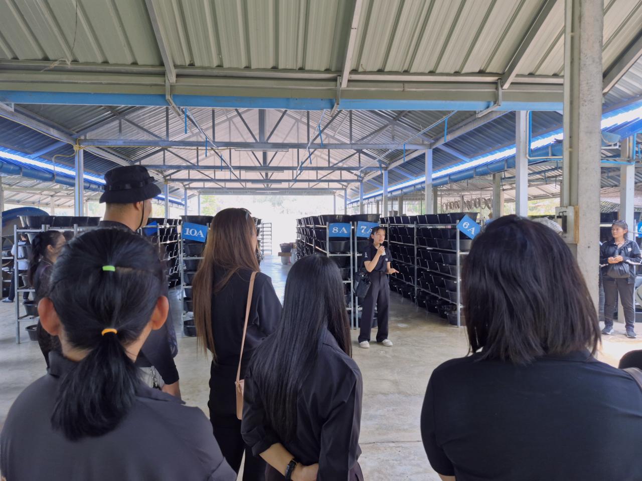 ภาพประกอบที่ 7