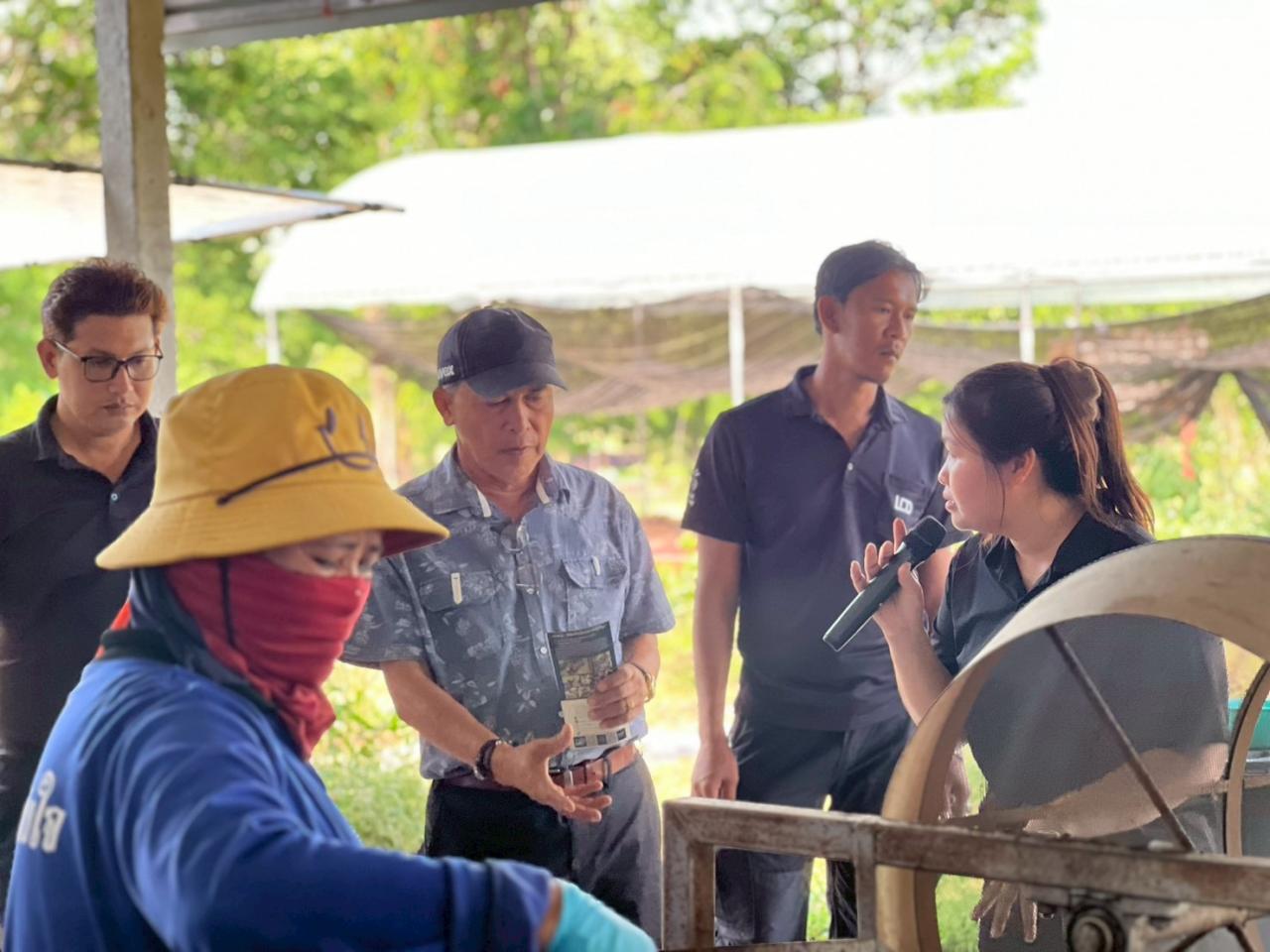 ภาพประกอบที่ 13