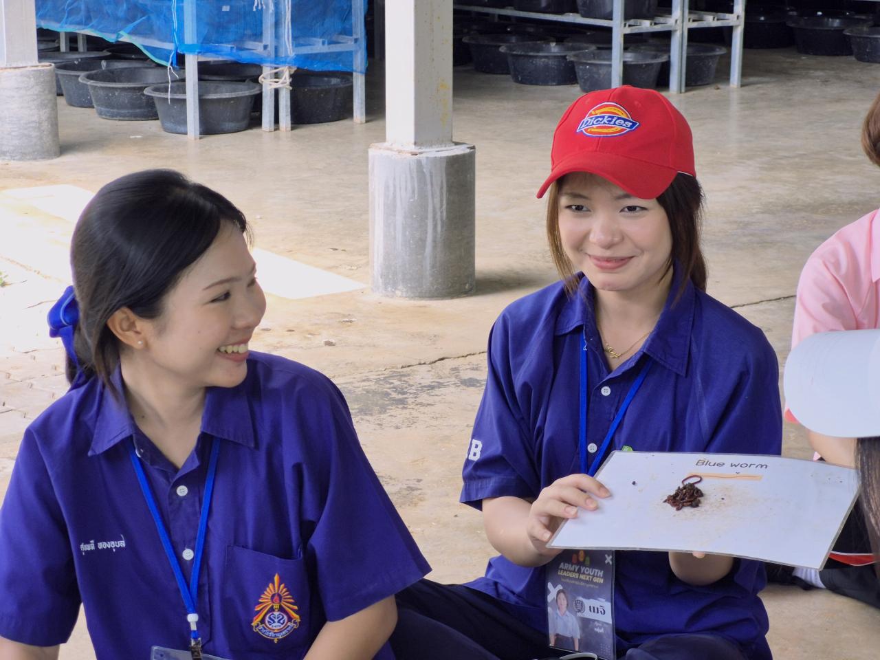ภาพประกอบที่ 11