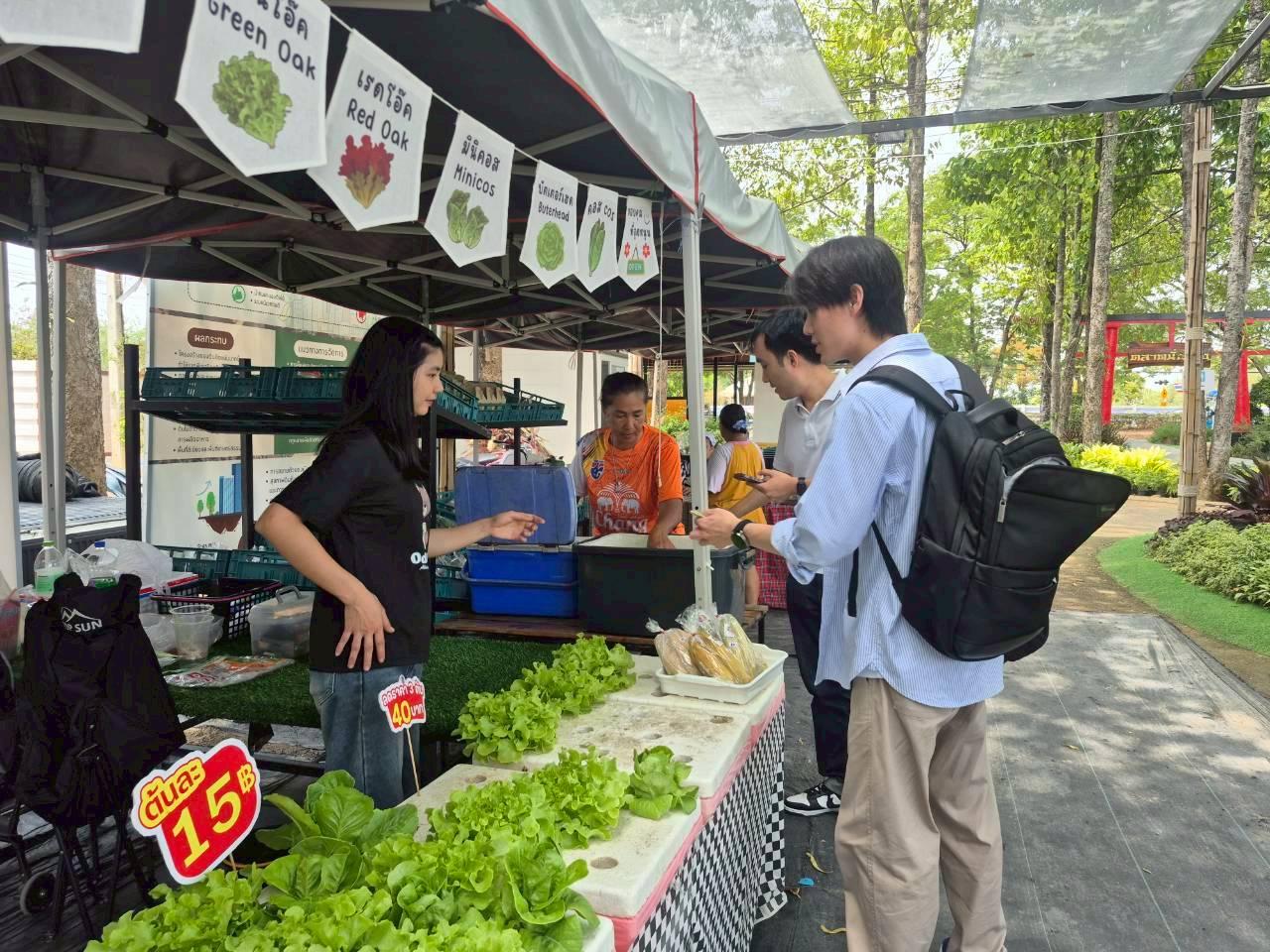 ภาพประกอบที่ 9