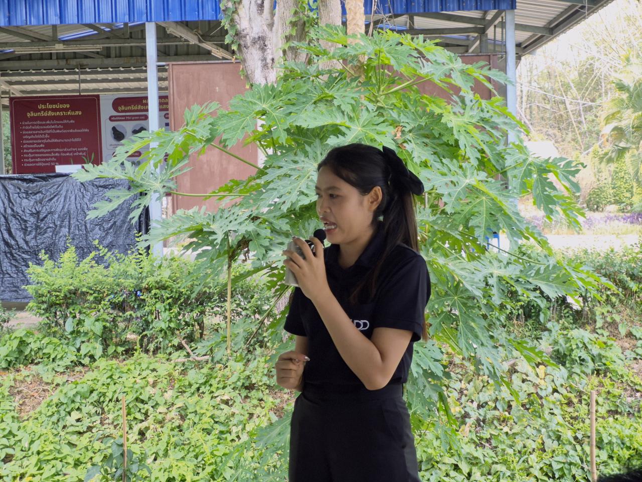 ภาพประกอบที่ 7