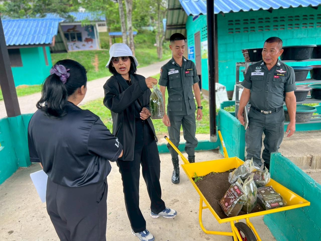 ภาพประกอบที่ 19