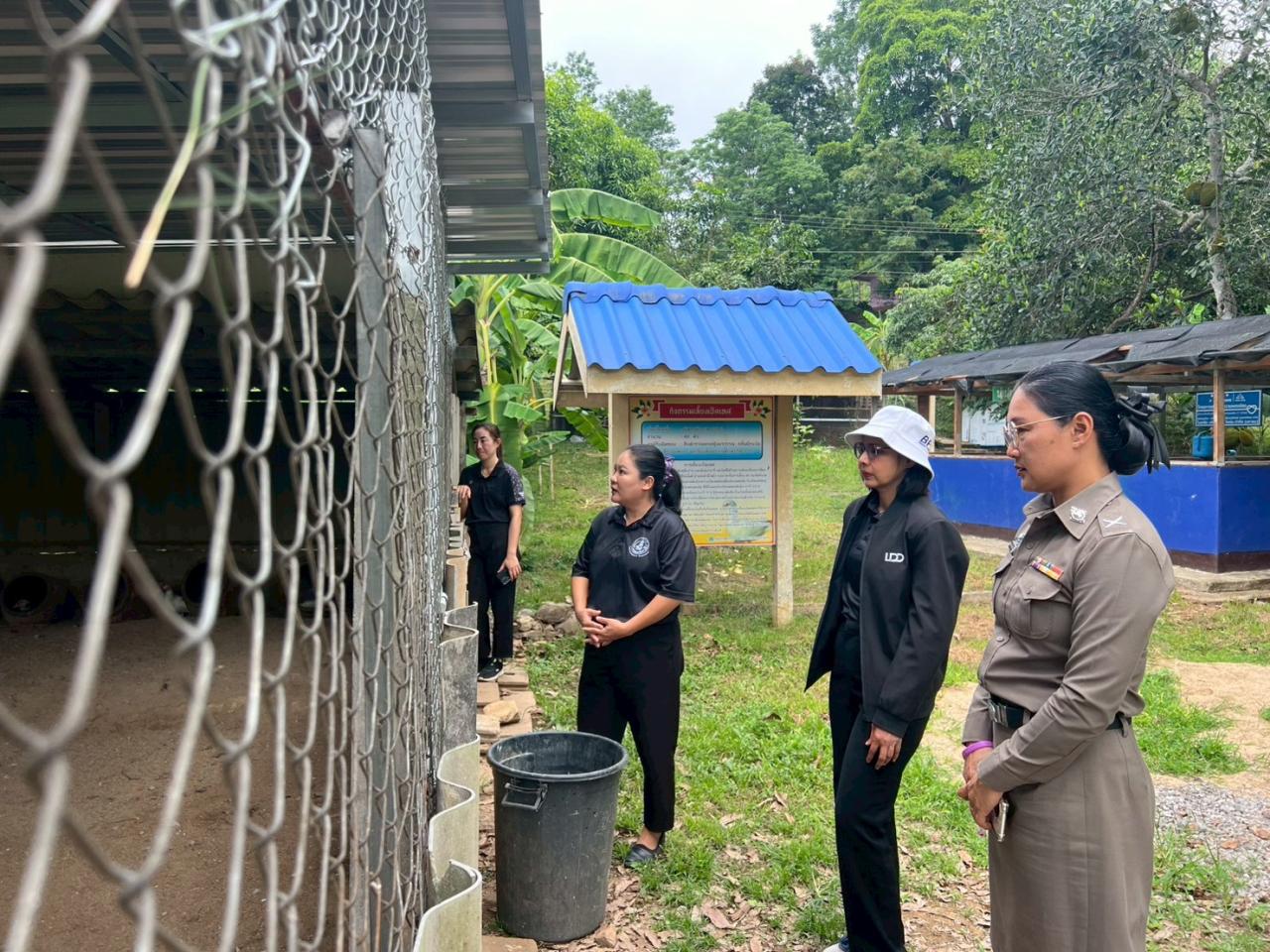 ภาพประกอบที่ 6