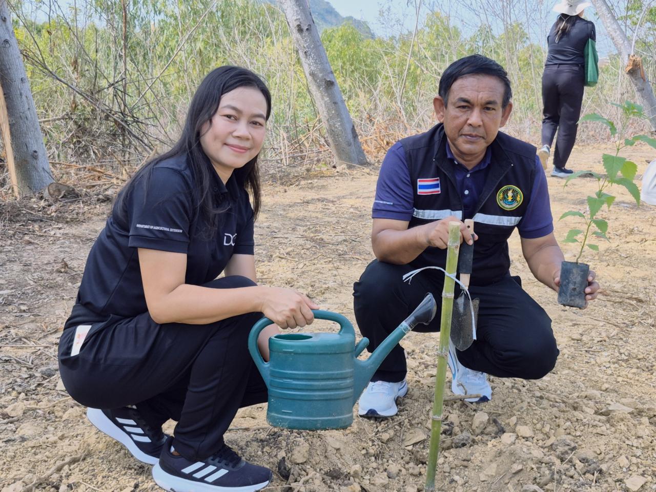 ภาพประกอบที่ 17