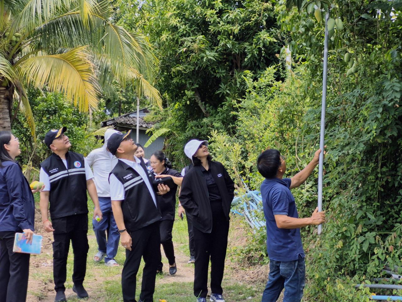 ภาพประกอบที่ 23