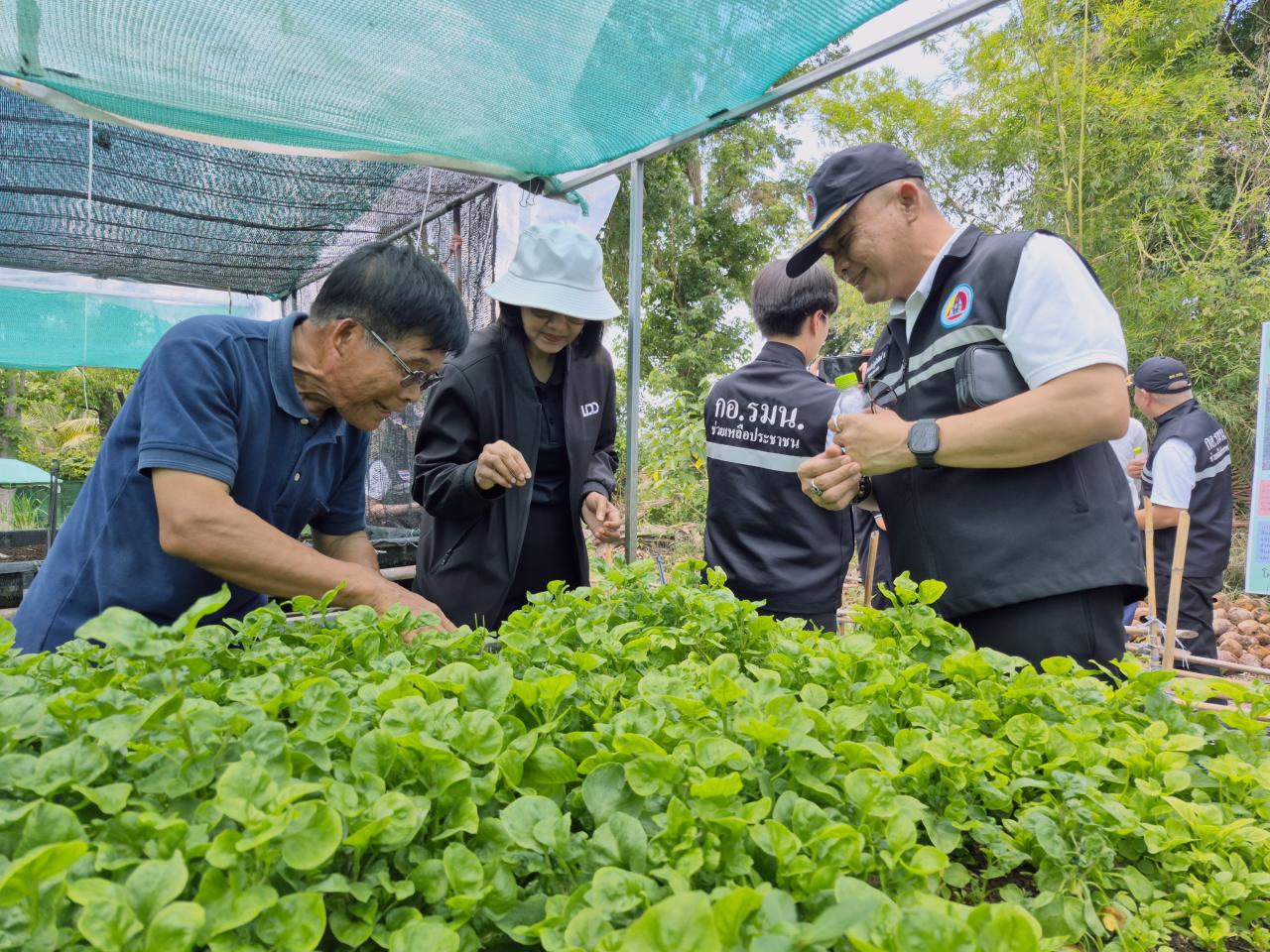 ภาพประกอบที่ 20
