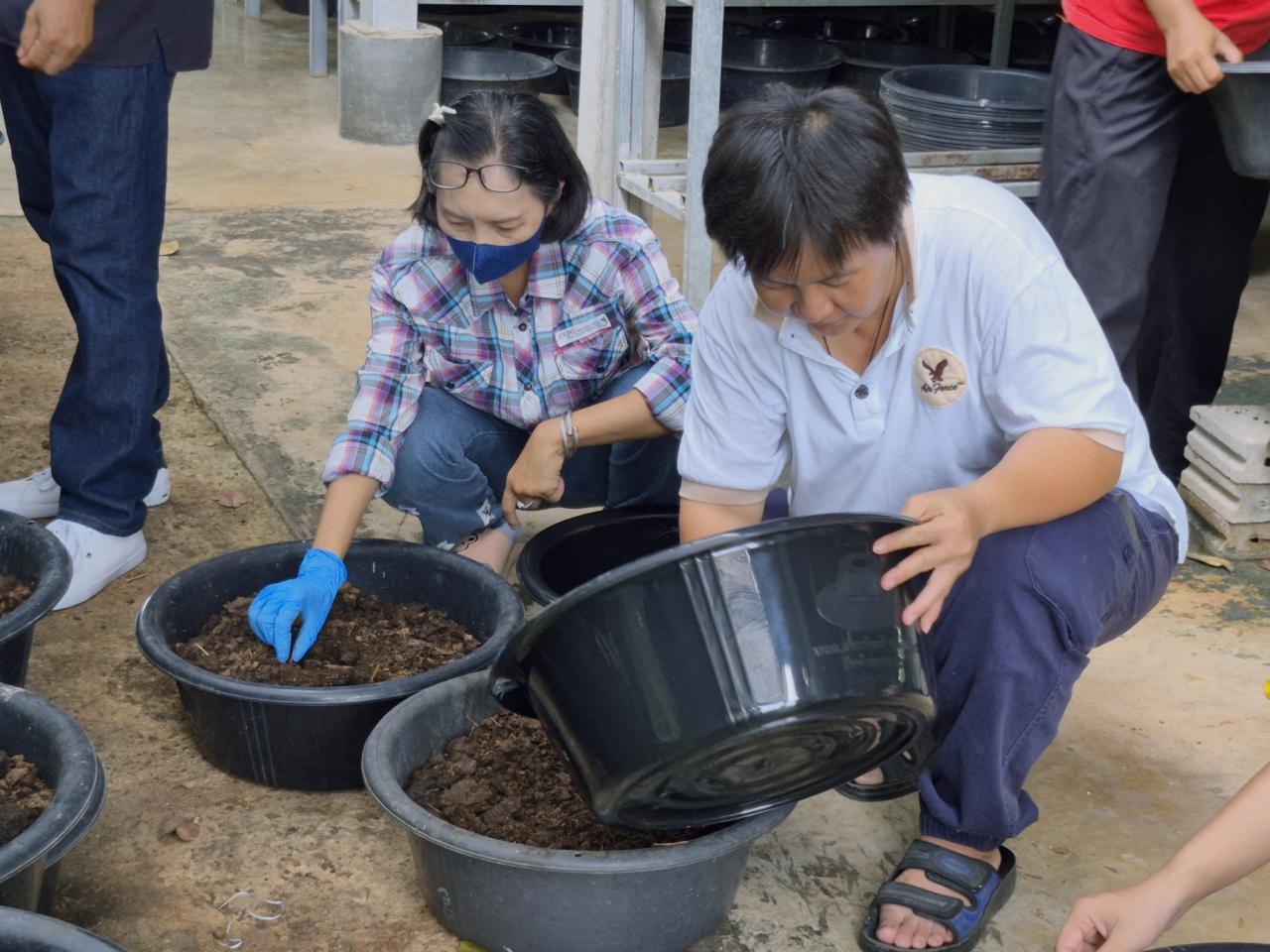 ภาพประกอบที่ 22