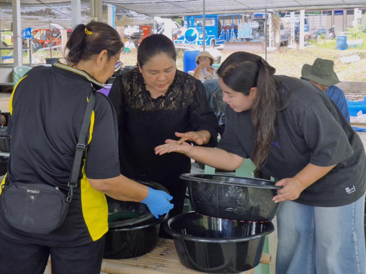 ภาพประกอบที่ 29