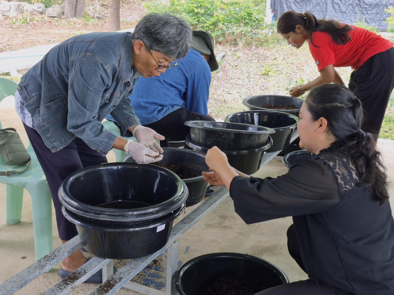 ภาพประกอบที่ 31