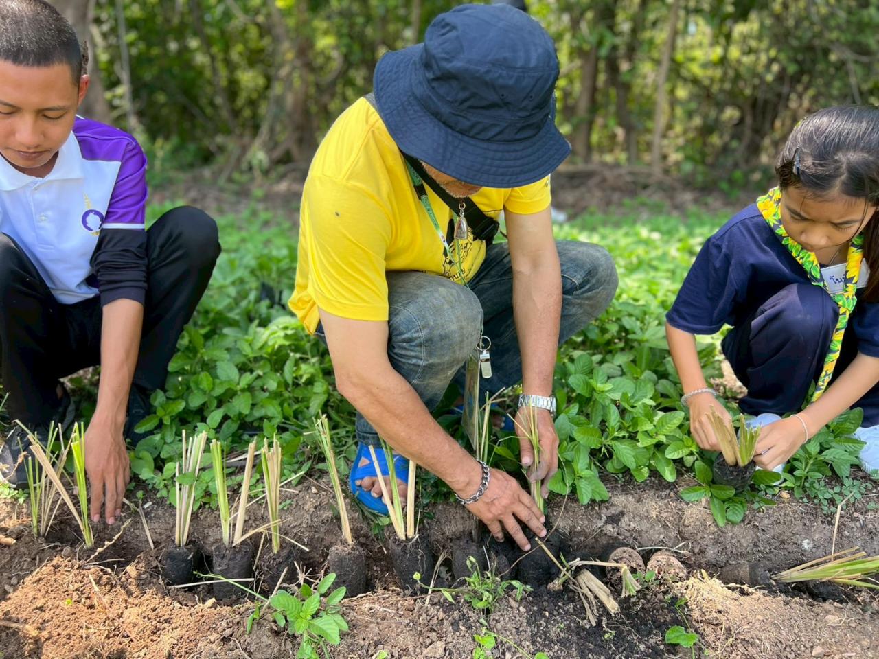 ภาพประกอบที่ 15