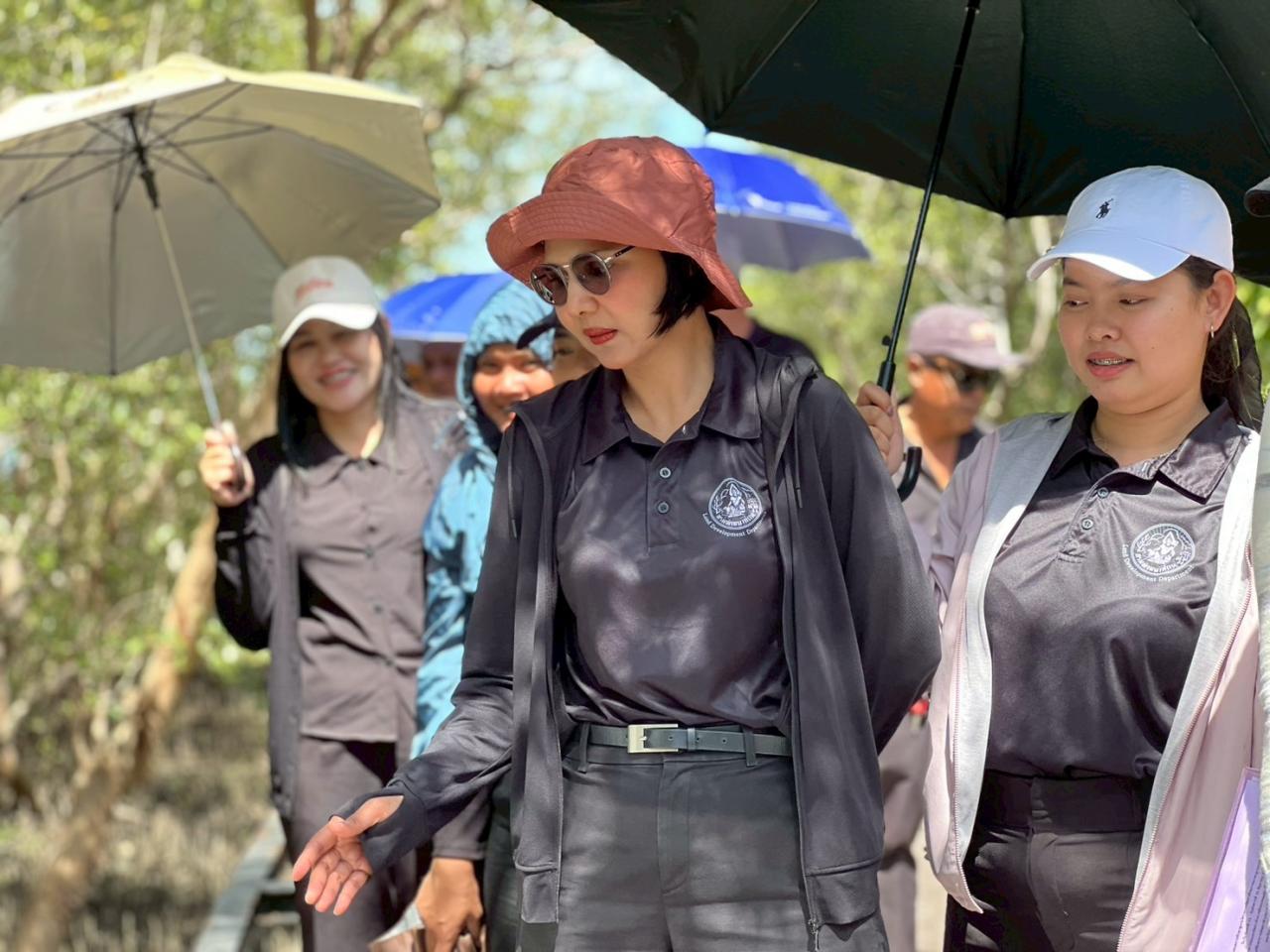 ภาพประกอบที่ 8