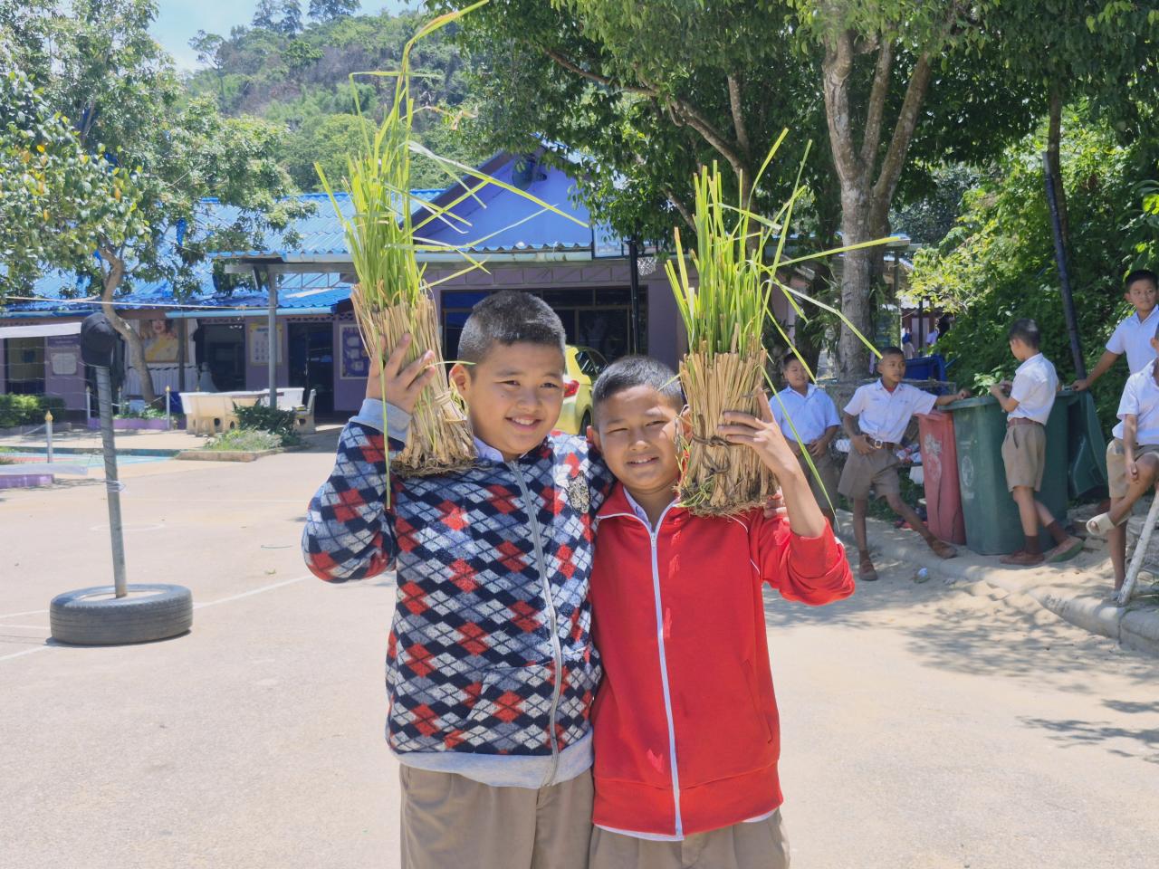 ภาพประกอบที่ 14