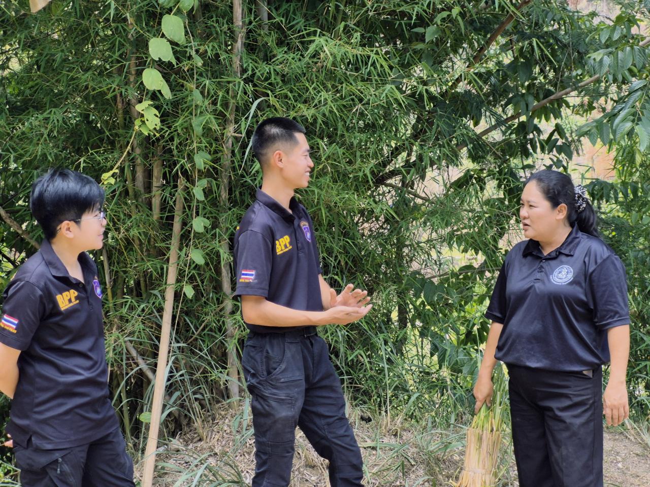 ภาพประกอบที่ 8