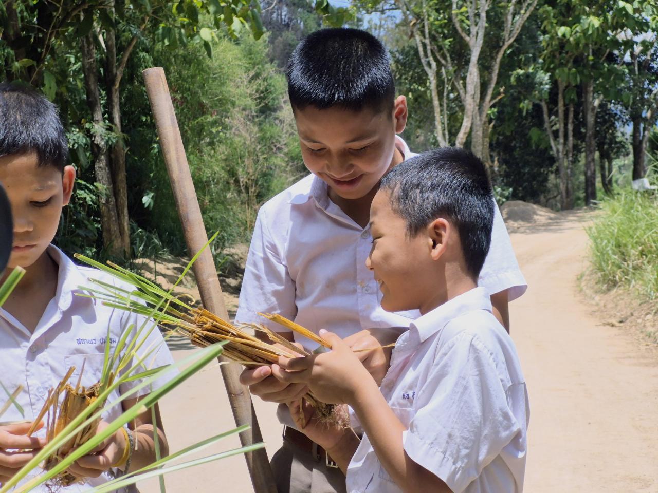 ภาพประกอบที่ 10