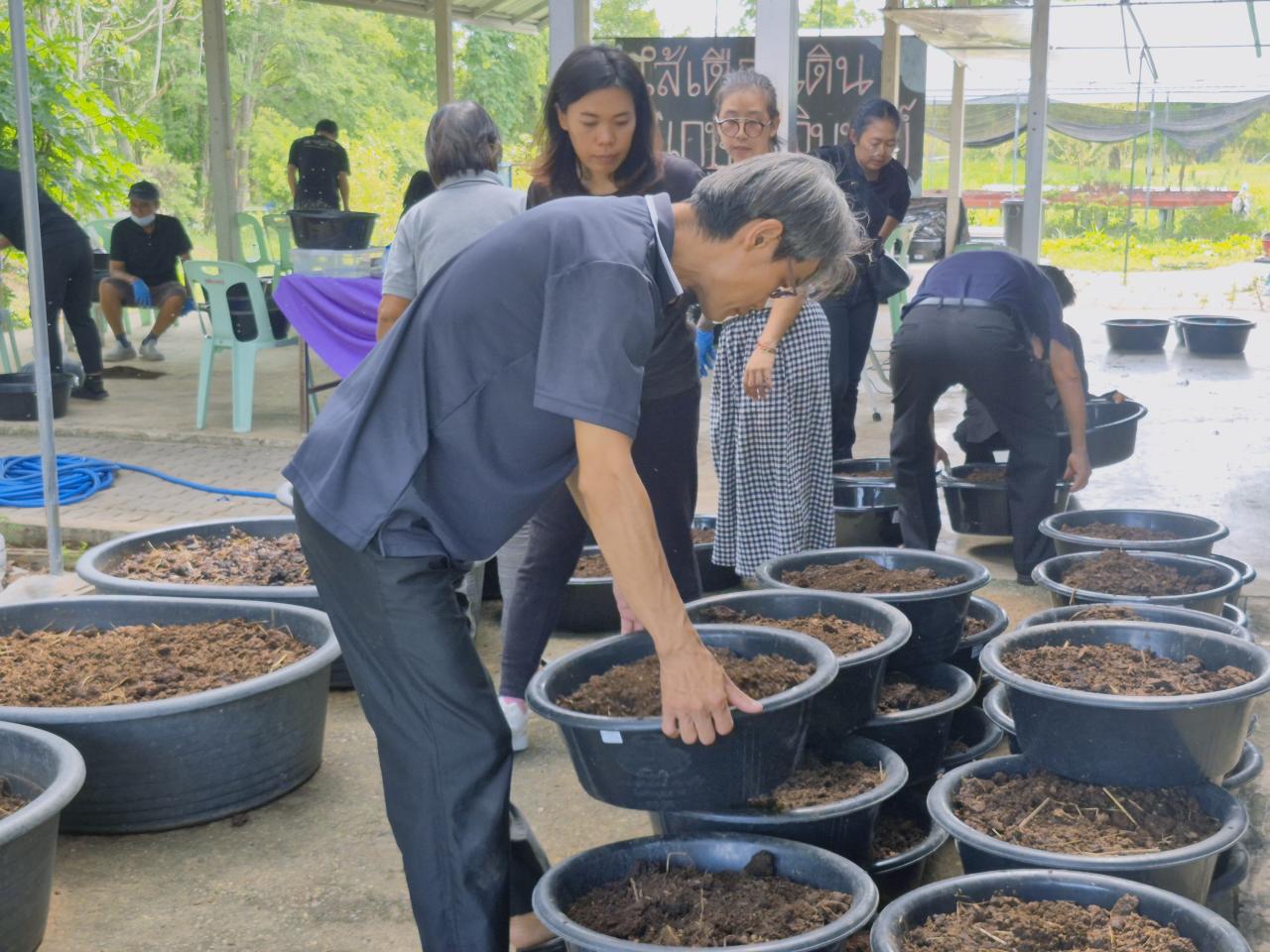 ภาพประกอบที่ 12